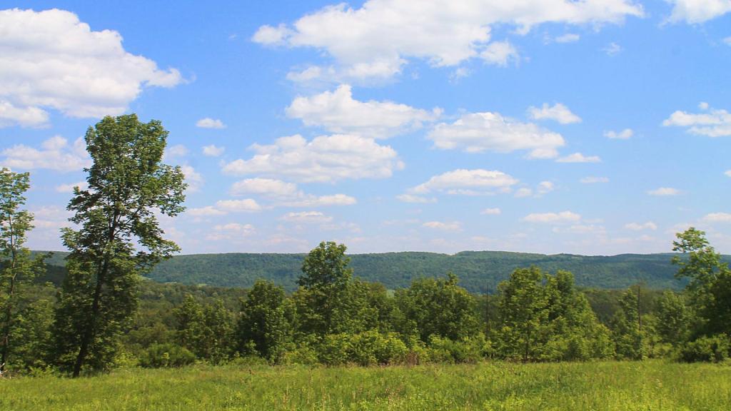 Photo: Shacktown Mountain