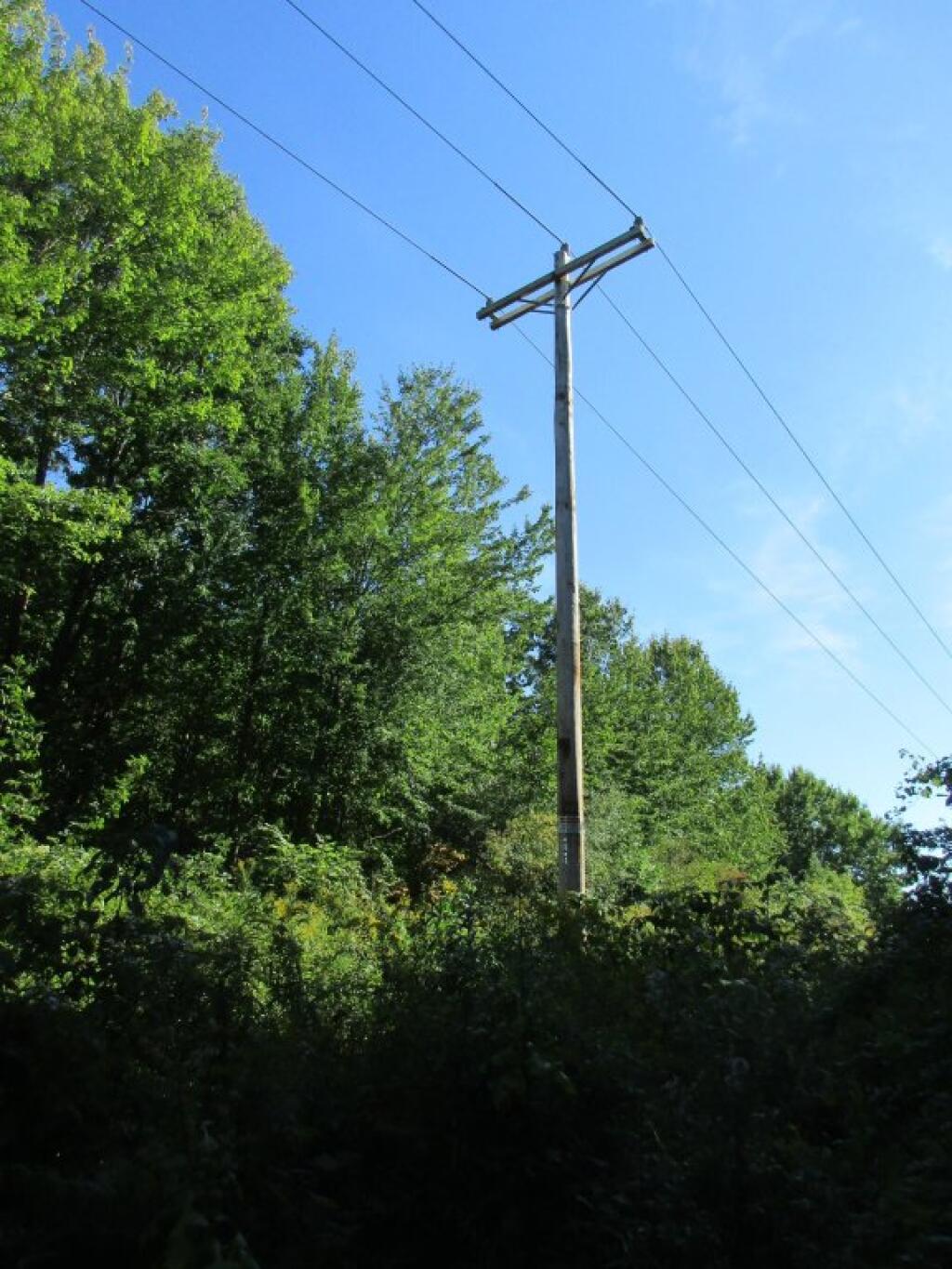 Photo: Powerline