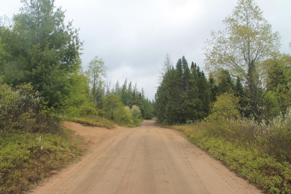 Photo: Plains Road