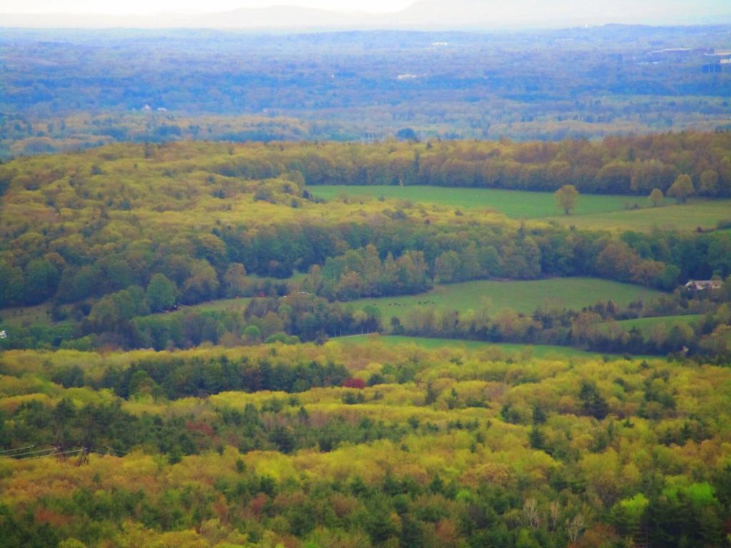 Photo: Diamond Hill in Clarksville