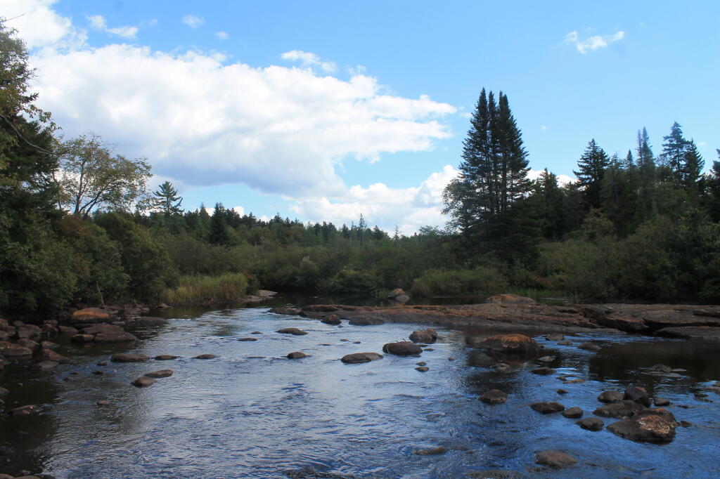Photo: Natural Rock Dam on Moose River