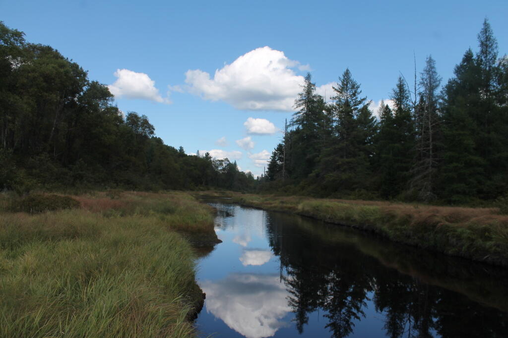 Photo: Red River
