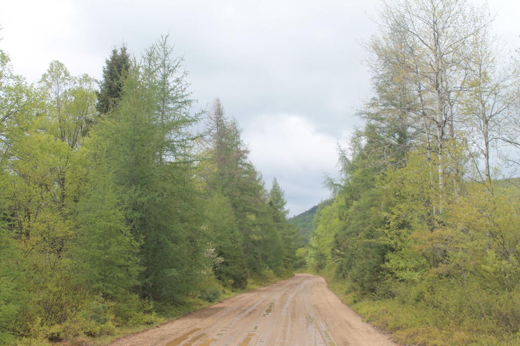 Photo: Plains Road