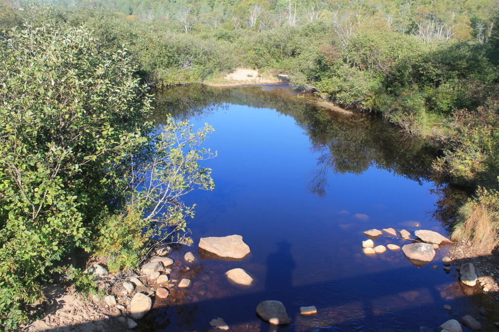 Photo: Bridge Shadow