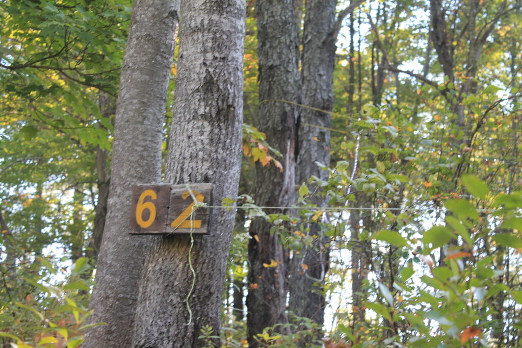 Photo: Site 62