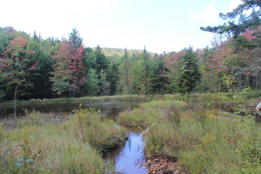 Photo: Pond