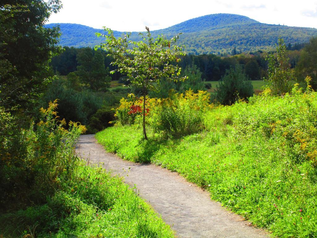 Photo: The Windham Path