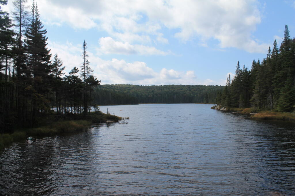 Photo: Falls Pond