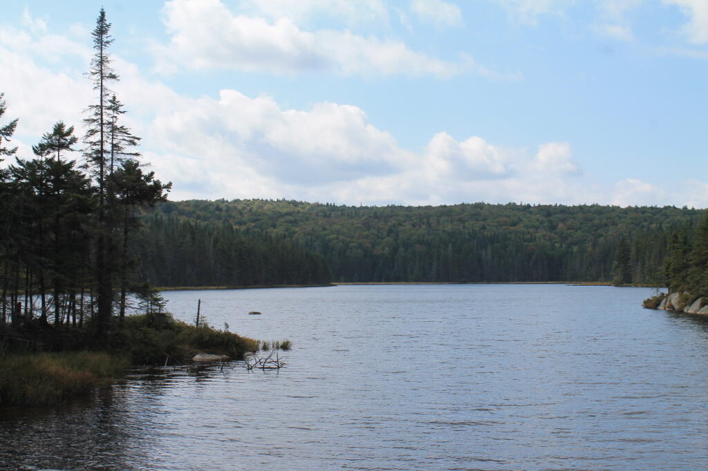 Photo: Falls Pond