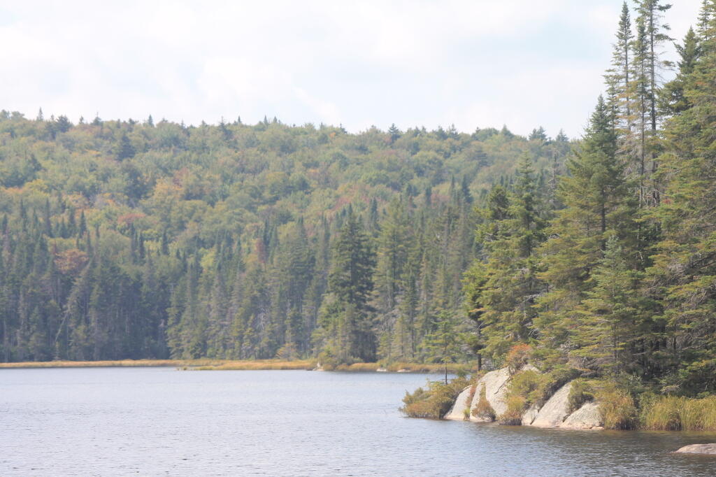Photo: Falls Pond at Moose River Plains
