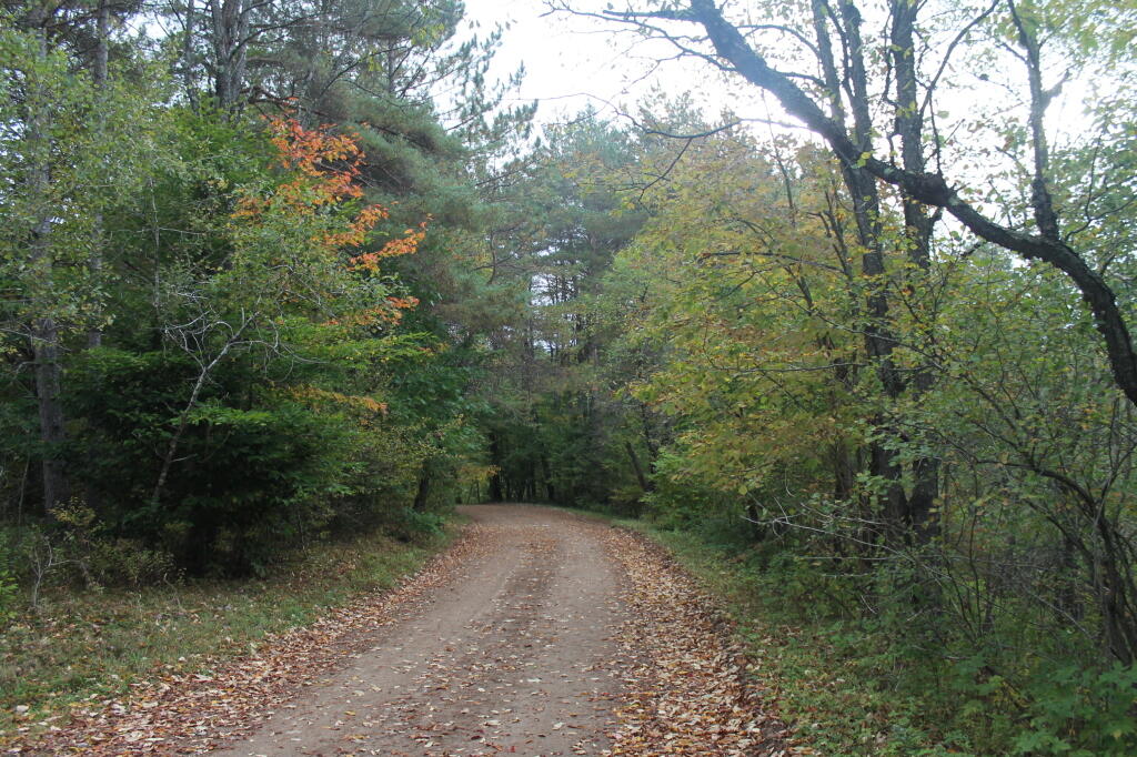 Photo: Whitehouse Road