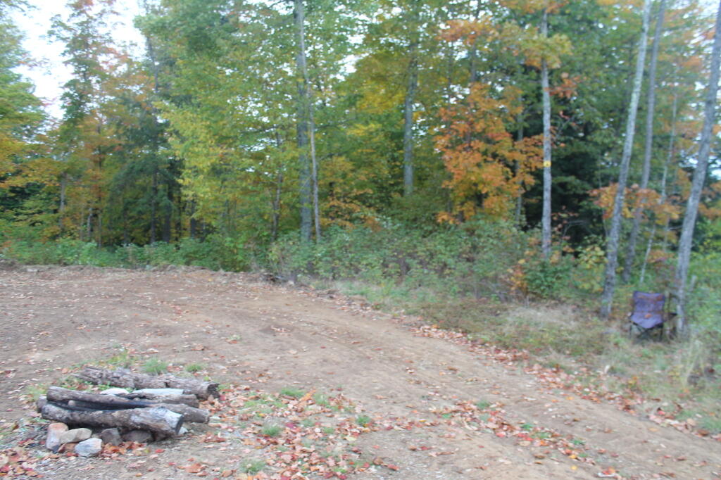 Photo: New Jessup River Road Campsite