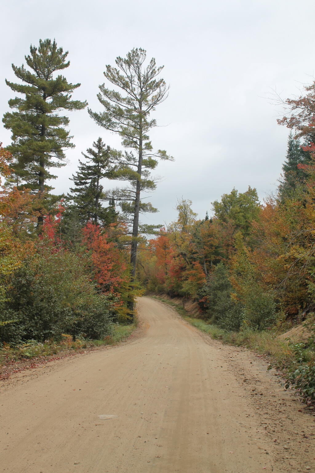 Photo: Jessup River Road
