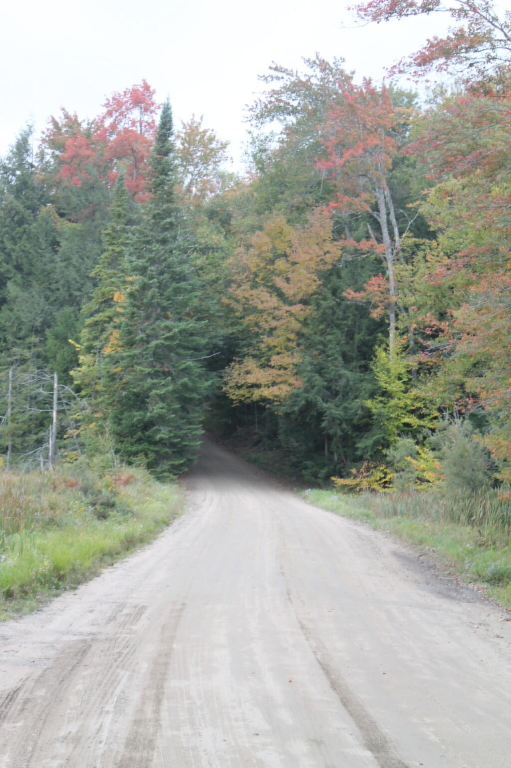Photo: Near Mason Lake