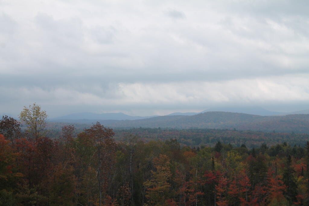 Photo: Untitled