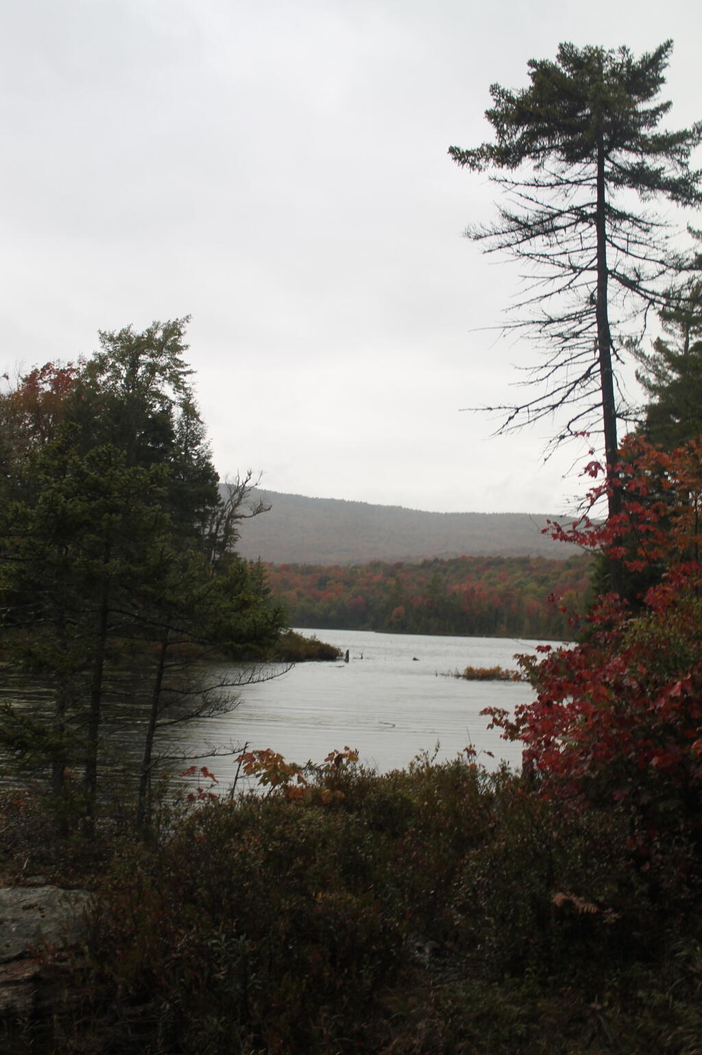 Photo: Wakely Pond Before the Rain