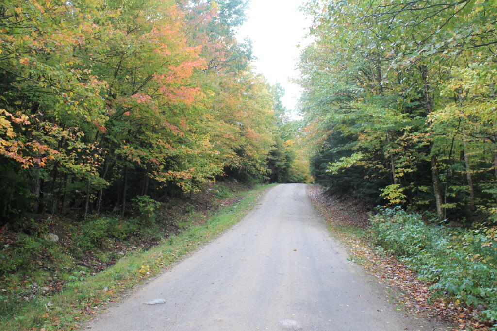 Photo: Untitled
