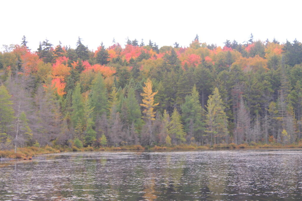 Photo: Helldiver Pond