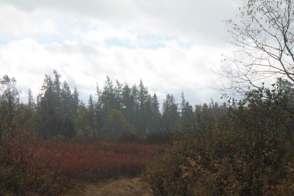Photo: Rain on the Plains