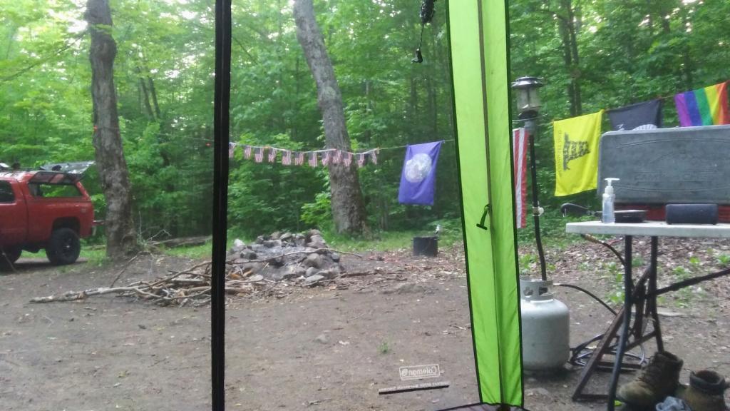 Photo: Bugs were bad this afternoon