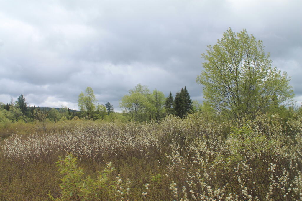 Photo: Photo.2013.05.26 13.57.33