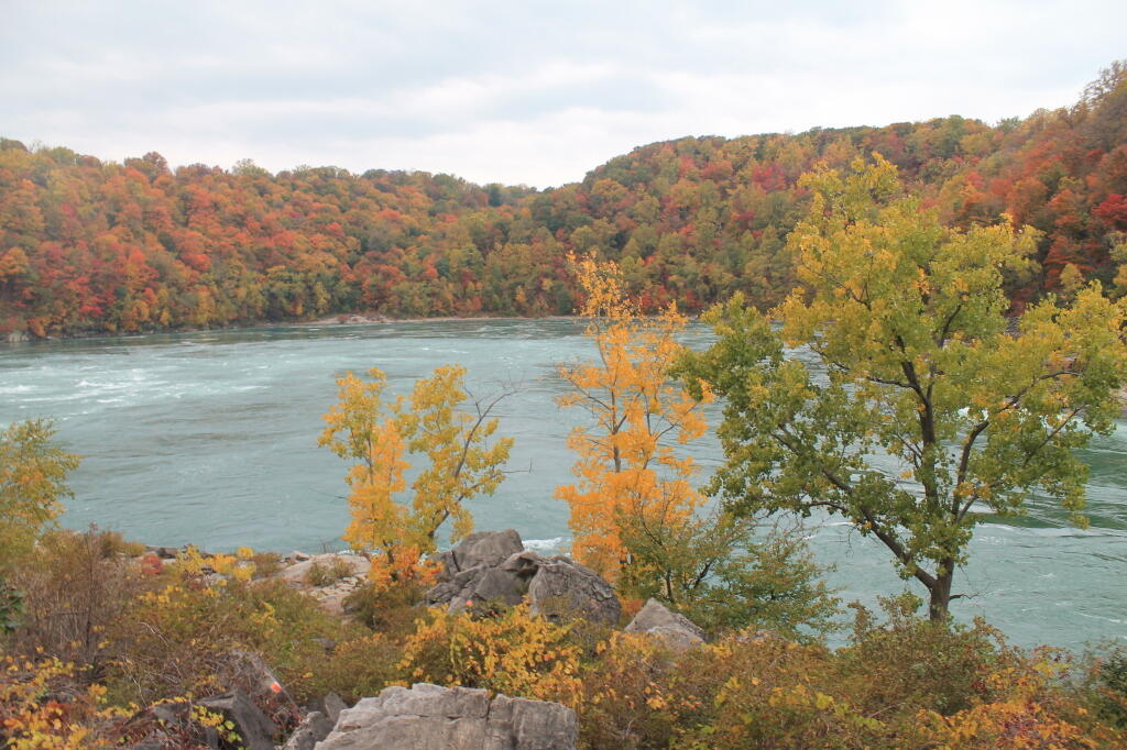 Photo: The Whirlpool from the Gorge