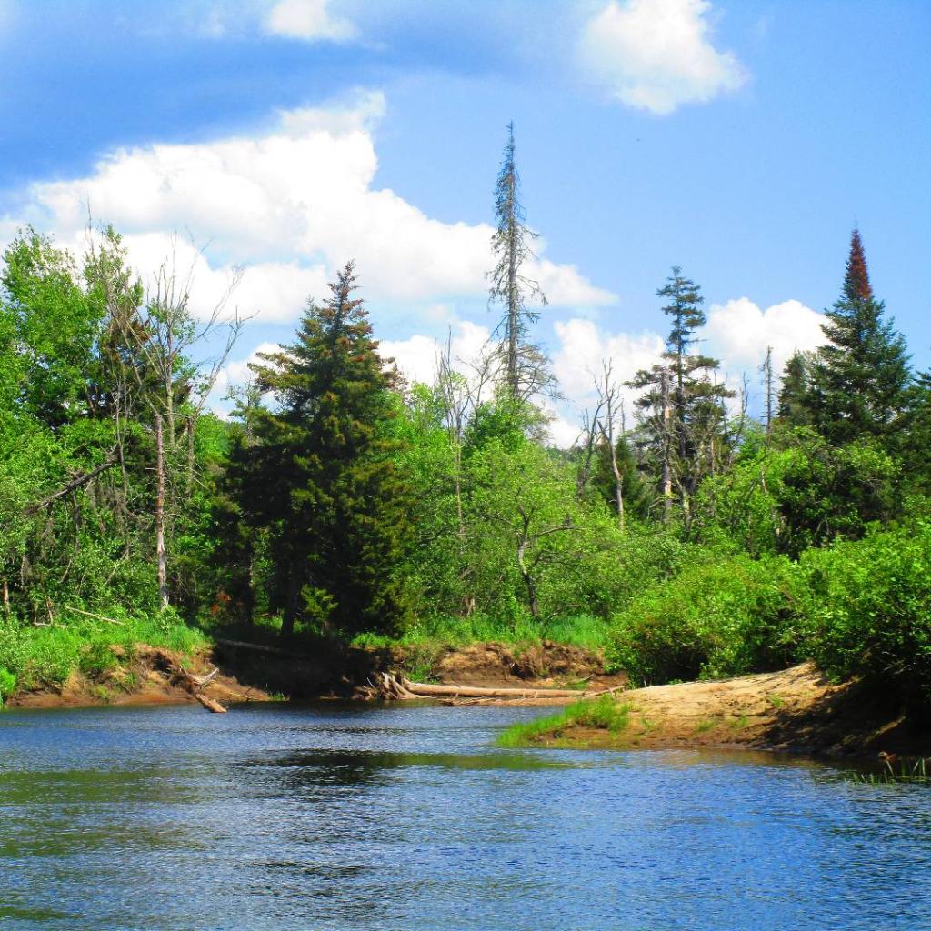 Photo: Jessup River