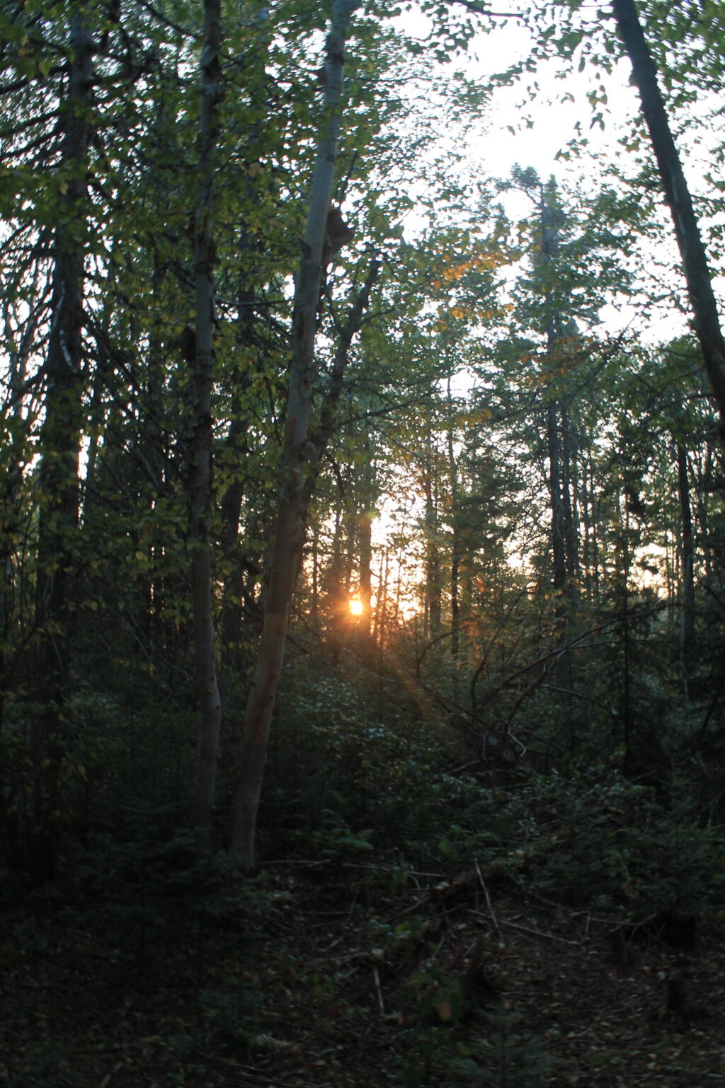 Photo: Path to Helldiver