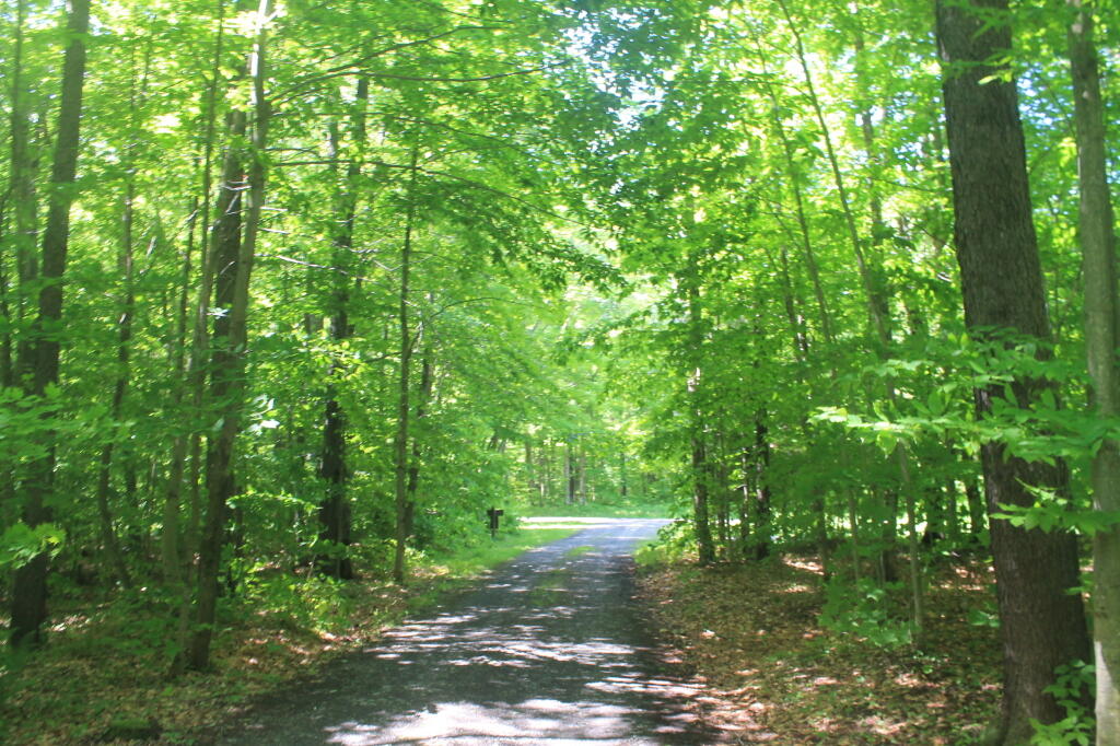 Photo: Cherry Hill Camping Area Road