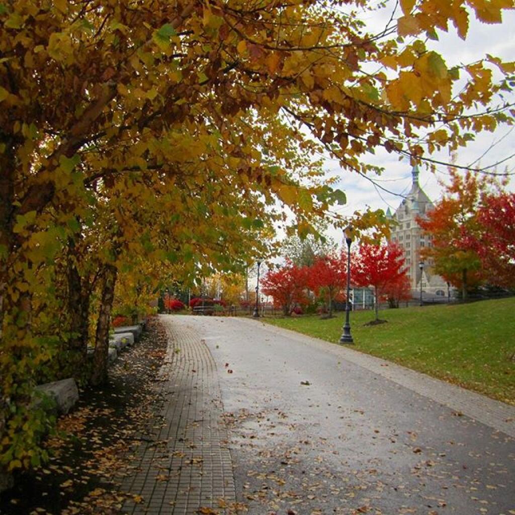 Photo: Colorful Walkway