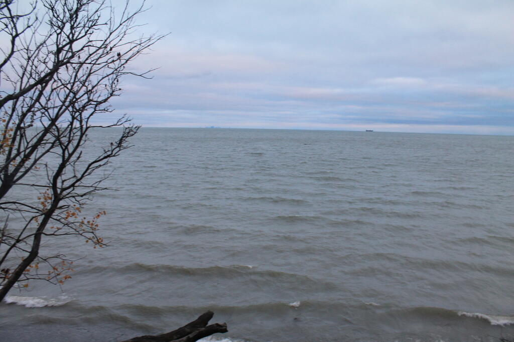 Photo: Exploring the Wooded Lake Front