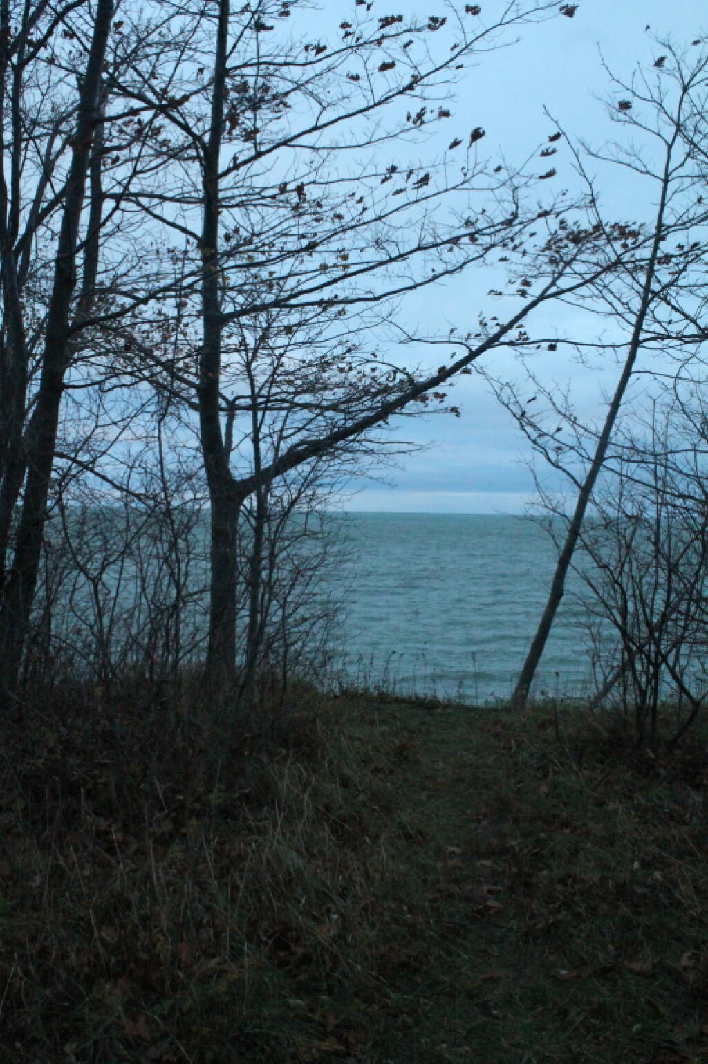 Photo: Lake Thru the Trees