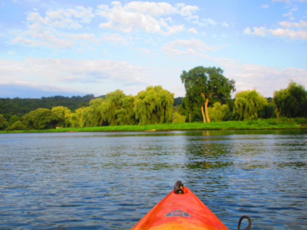Photo: Paddling past Stewart Park