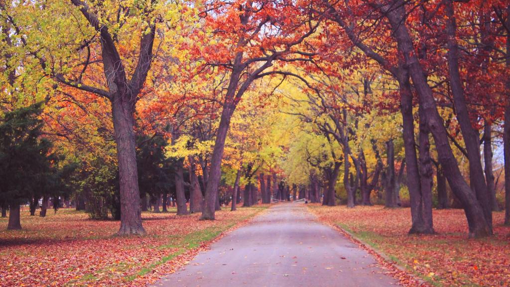 Photo: Strolling Along Scott Avenue Photo: Strolling Along Scott Avenue