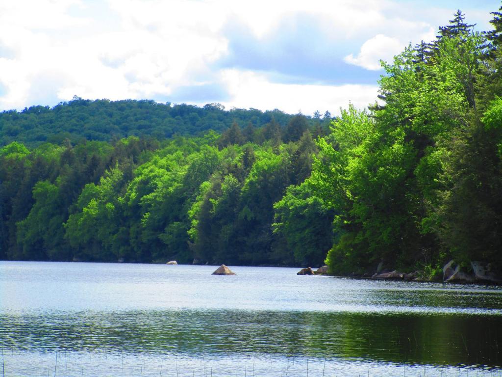 Photo: Fawn Lake