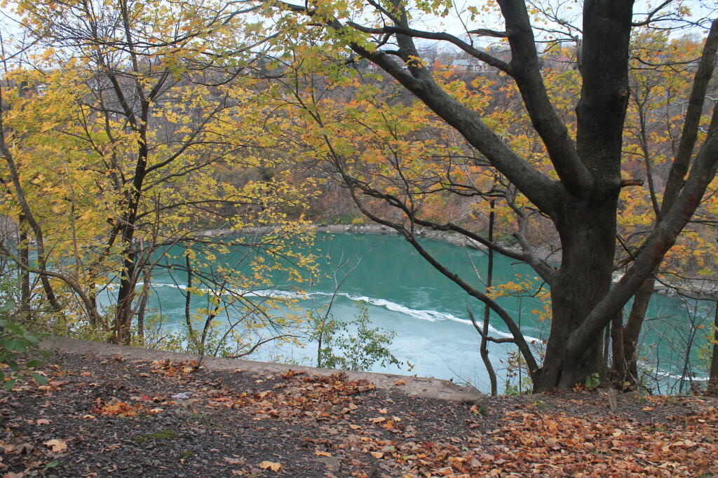 Photo: Green Water As Fall Works to Its Conclusion