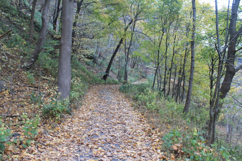 Photo: Rail Trail