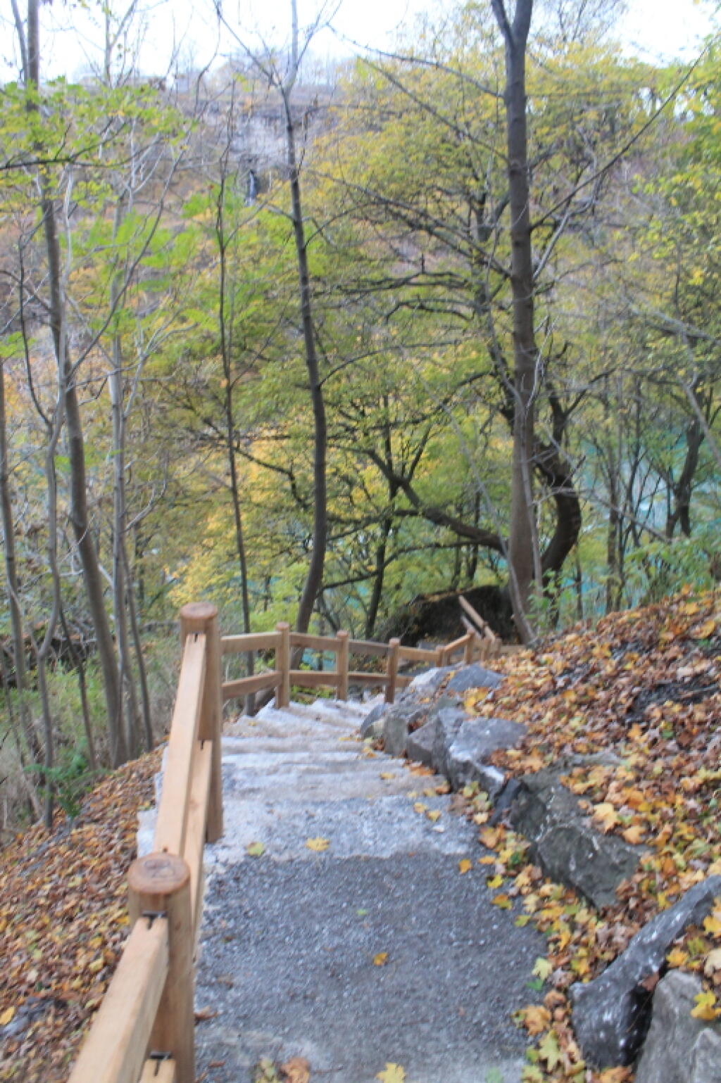 Photo: New Trail Out of the Gorge