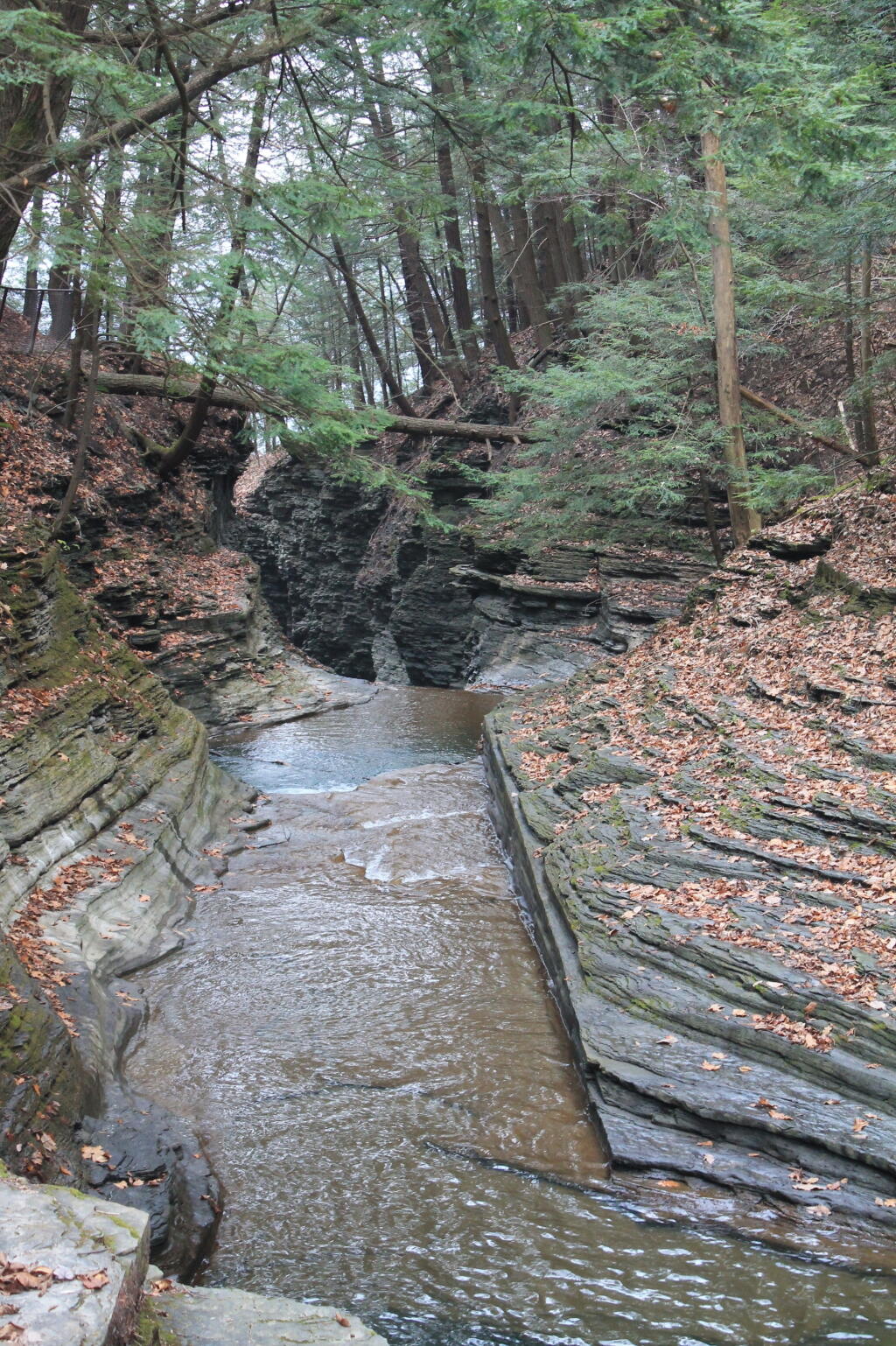 Photo: Narrow Portion