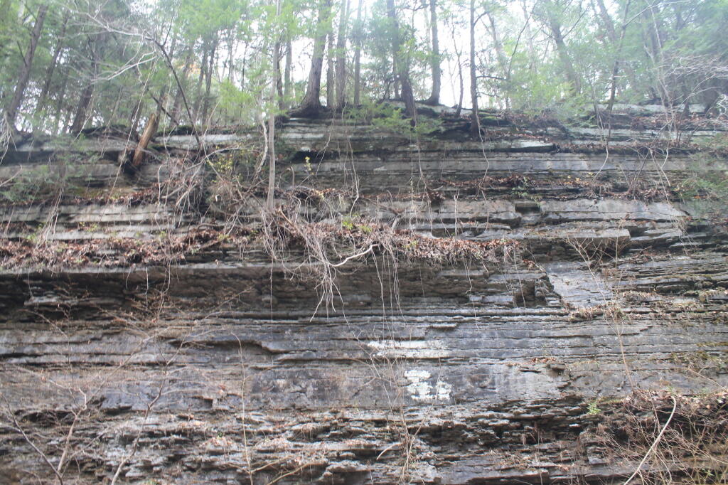 Photo: Rock