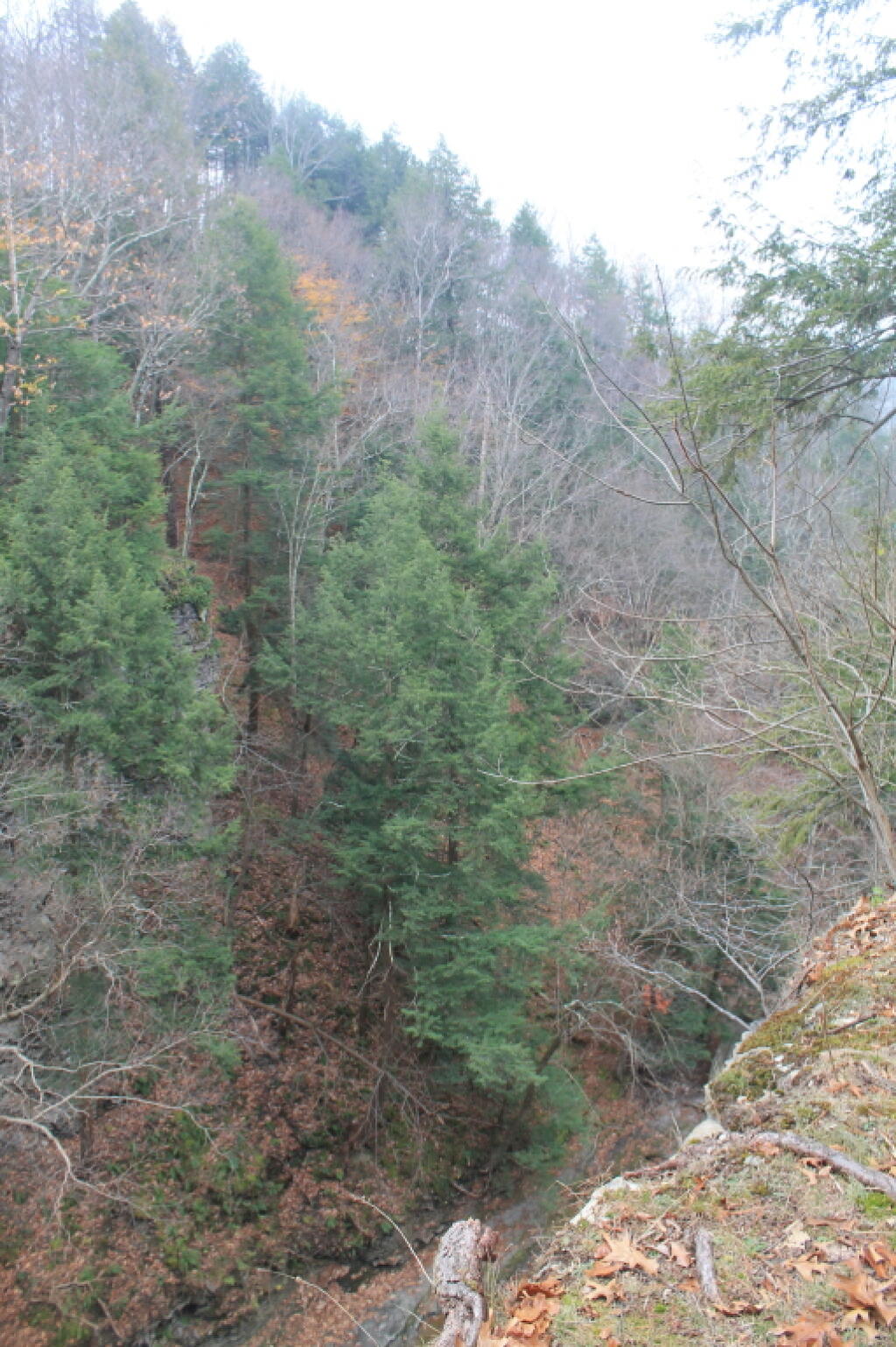Photo: Gorge View