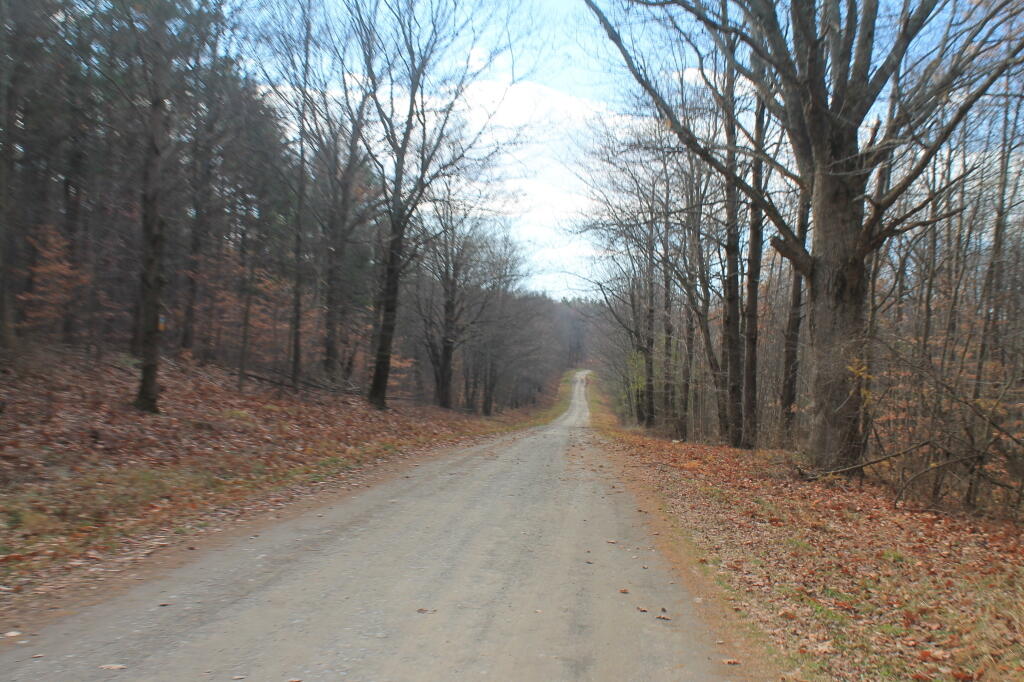 Photo: Maple Lane South
