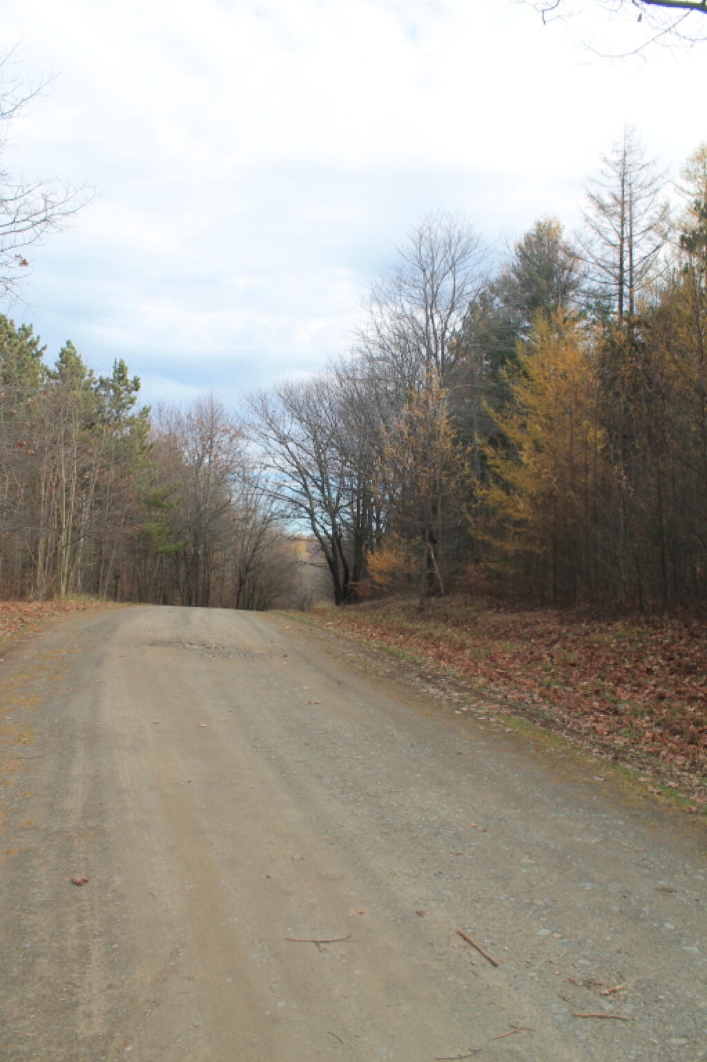 Photo: One Hill Over on Maple Lane