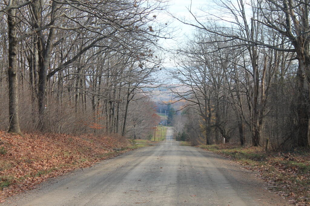 Photo: Tower Road