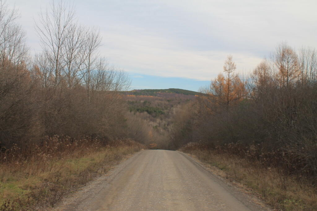 Photo: Sugar Hill Road