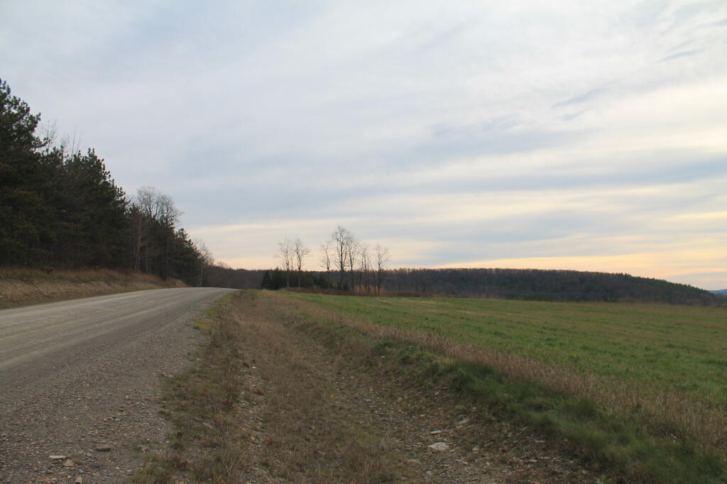 Photo: Tower Hill Road