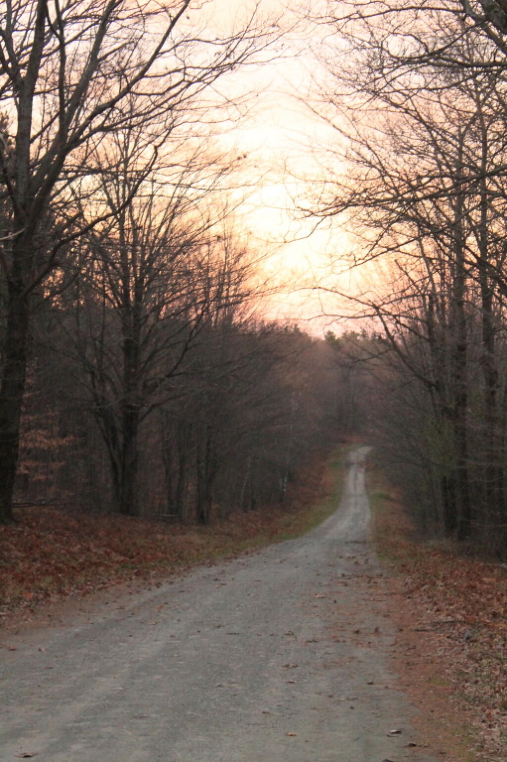 Photo: Red Sky in Morning