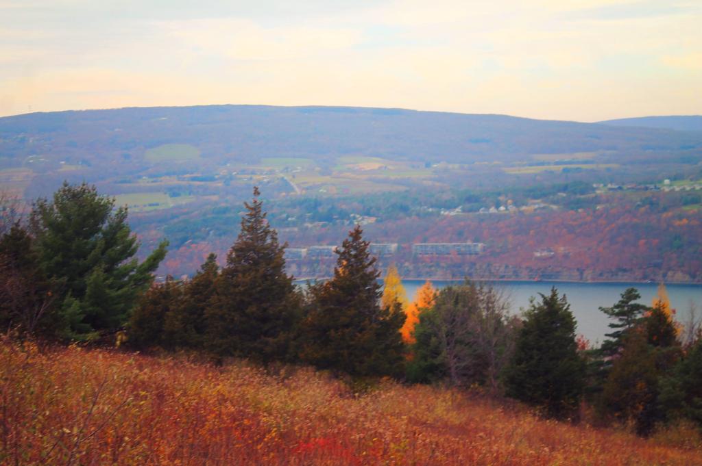 Photo: View of Lake from Upper Trail