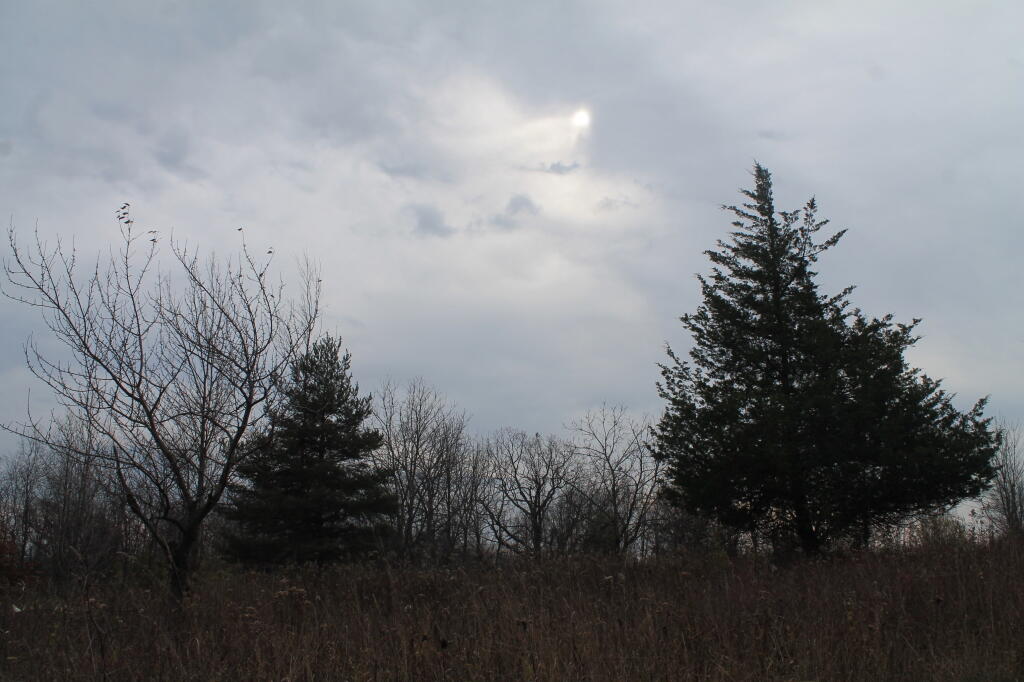 Photo: Cloudying Up