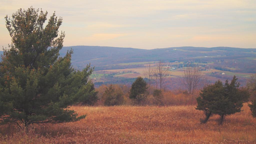 Photo: Rushville Hills